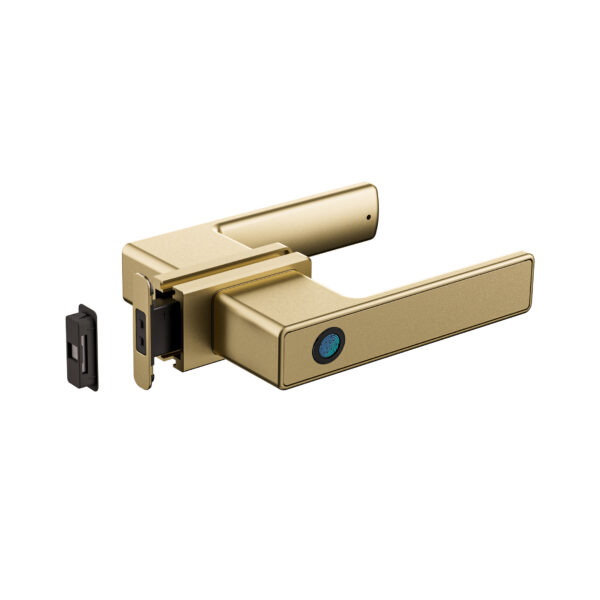 SmartOne Linear Electronic Lock for Framed Glass Door