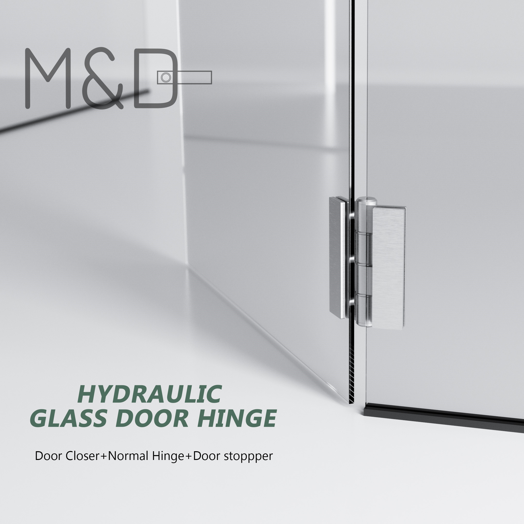 Hydraulic glass hinge E type double door frameless application scene 1